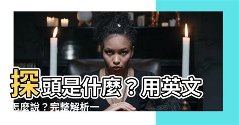 探頭意思|探頭